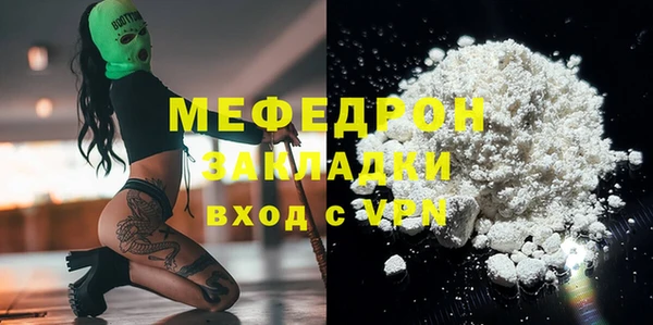 стаф Каменка
