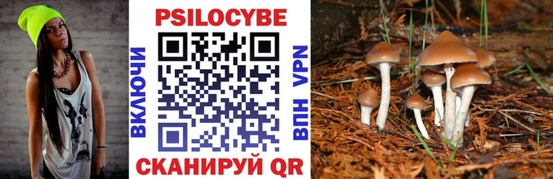 Галлюциногенные грибы Psilocybine cubensis  Топки 